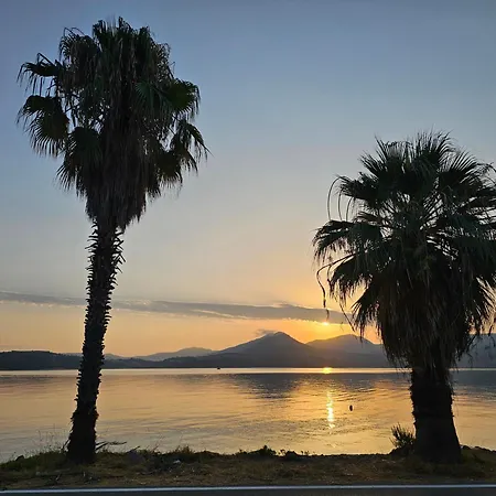 Dimitra's Paradise
