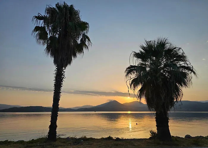 Dimitra's Paradise